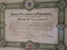 Diploma de Pharmacutico - Dilo